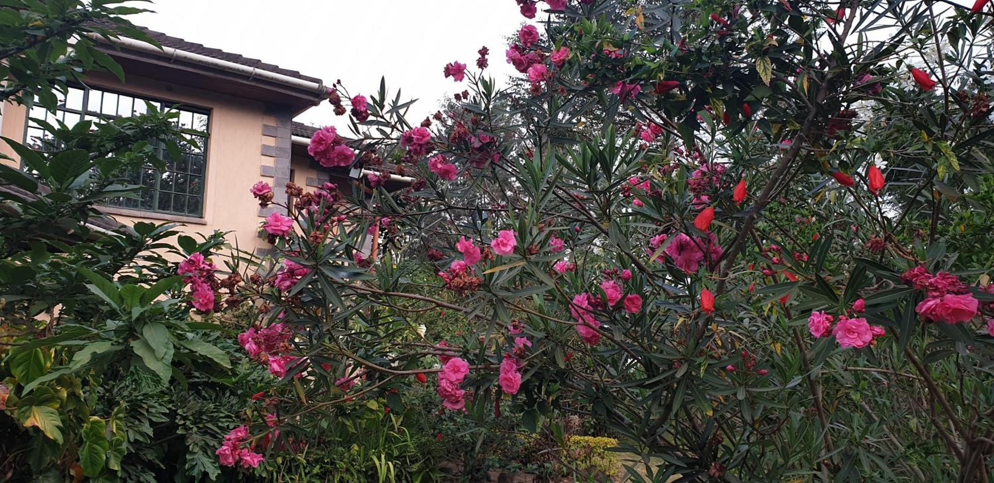 Spurwing Guest House Nairobi Esterno foto