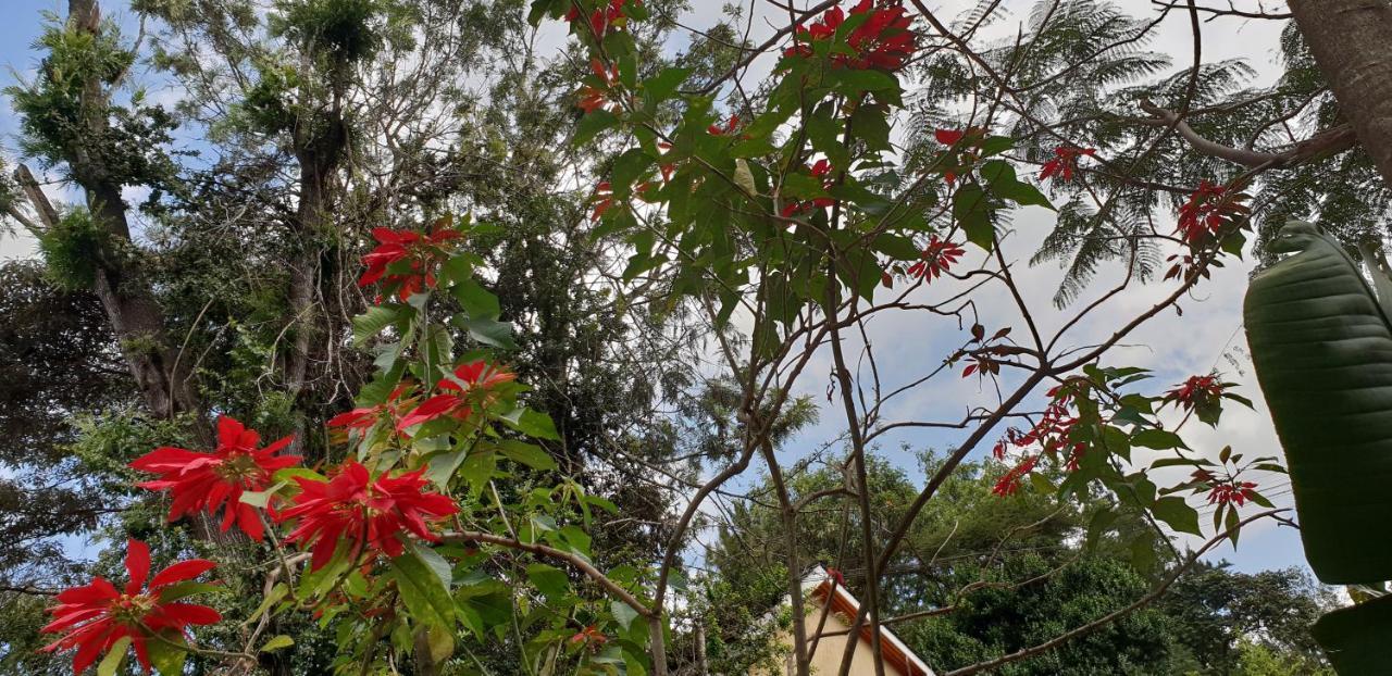 Spurwing Guest House Nairobi Esterno foto